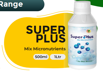 SUPER PLUS (Mix Micronutrients)